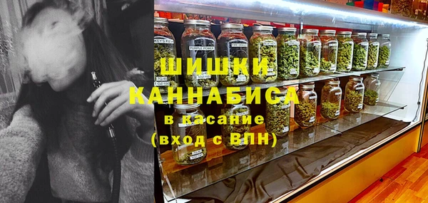 мдпв Волоколамск