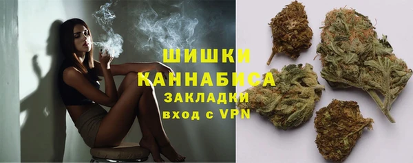 мдпв Волоколамск