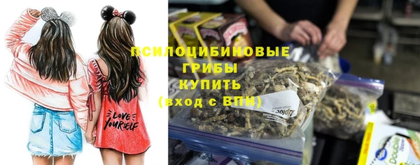 мдпв Волоколамск