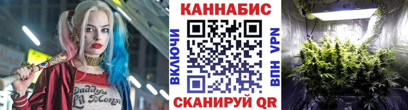 Бошки Шишки ГИДРОПОН  Мглин 